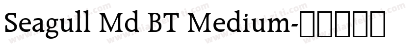 Seagull Md BT Medium字体转换
